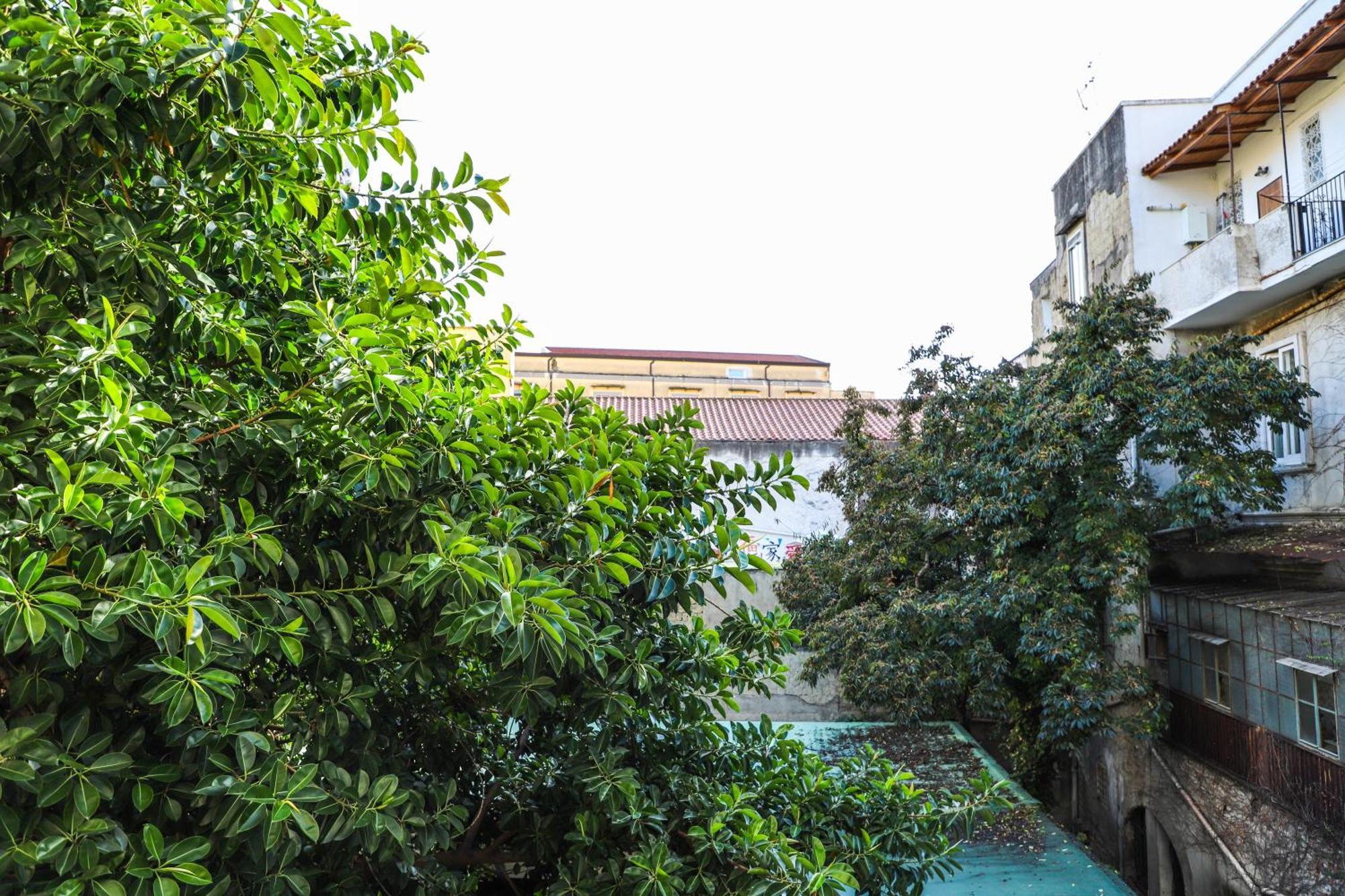 Le Scalette A Santa Chiara Lejlighed Napoli Eksteriør billede